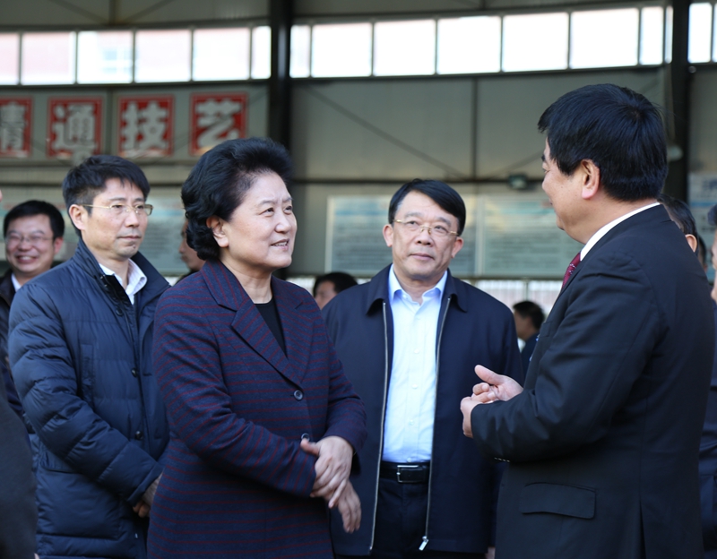 中共中央政治局委員、國務院副總理劉延東在教育部副部長朱之文，四川省教育廳廳長朱世宏等陪同下視察四川應用技術(shù)職業(yè)學院_副本.jpg